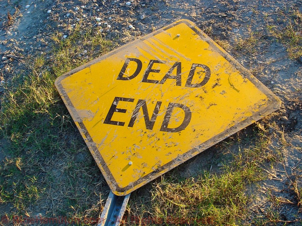 Five Dead End Jobs You Should maybe Want Anyway Super Scholar