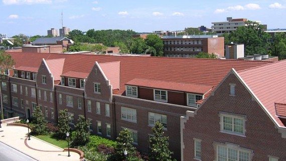 University of florida