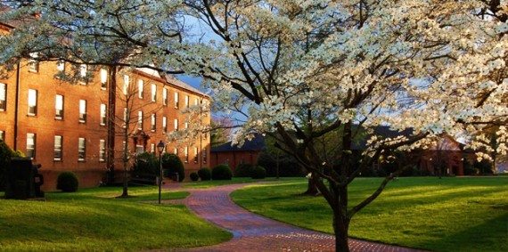 King university